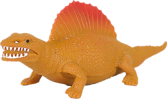 Dimetrodon limbatus