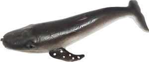 Baleine