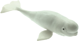 Beluga