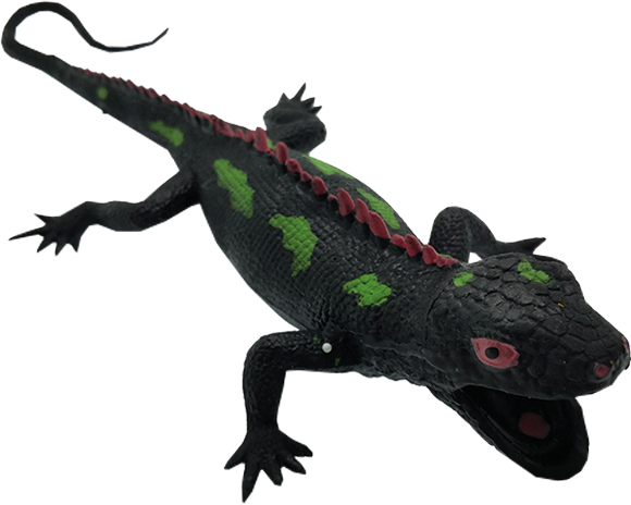 Lagarto agil