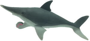 Helicoprion