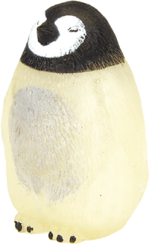 Dickschnabelpinguin