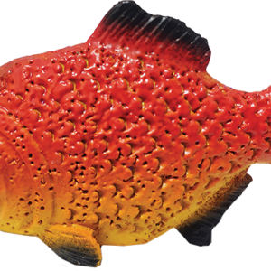 Piranha
